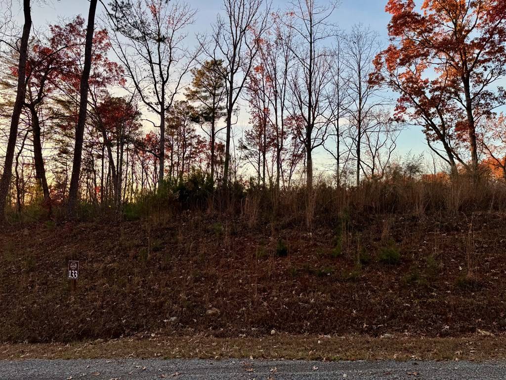 Ellijay, GA 30541,LOT 133 Sundown Trail