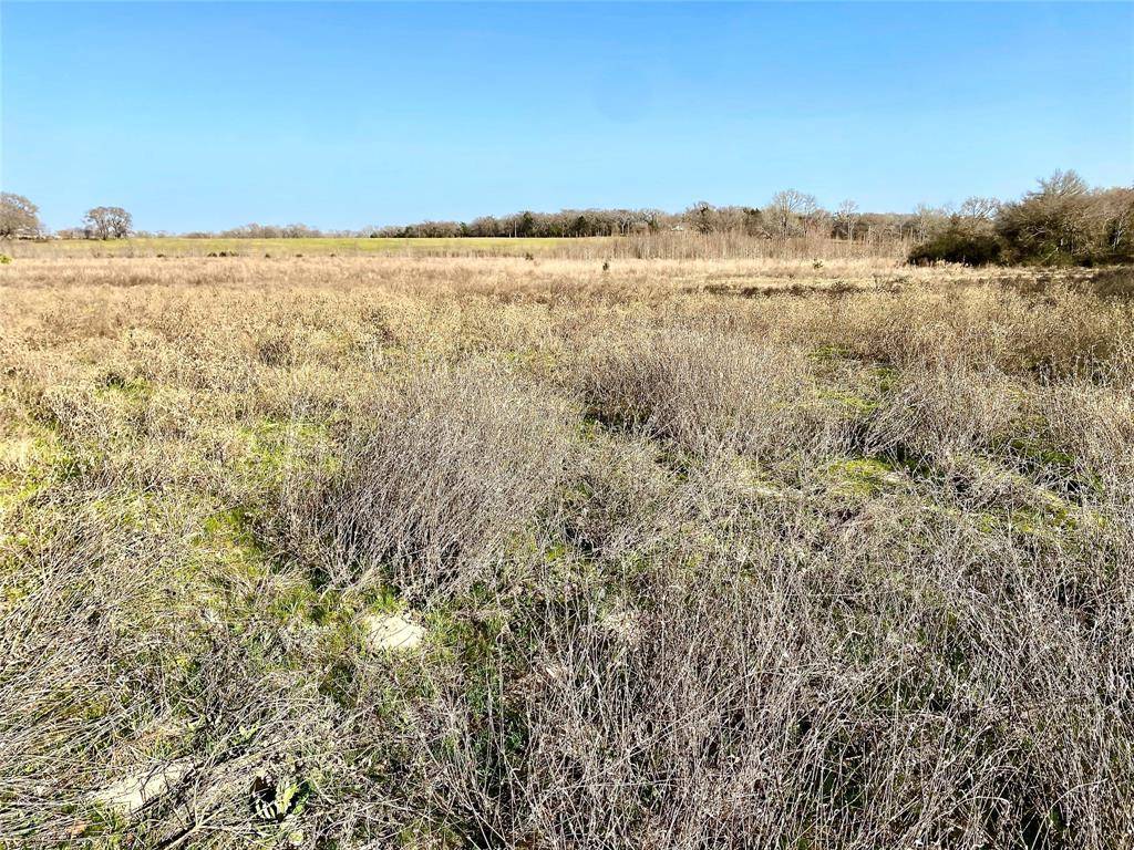 Canton, TX 75103,TBD VZ County Road 4105