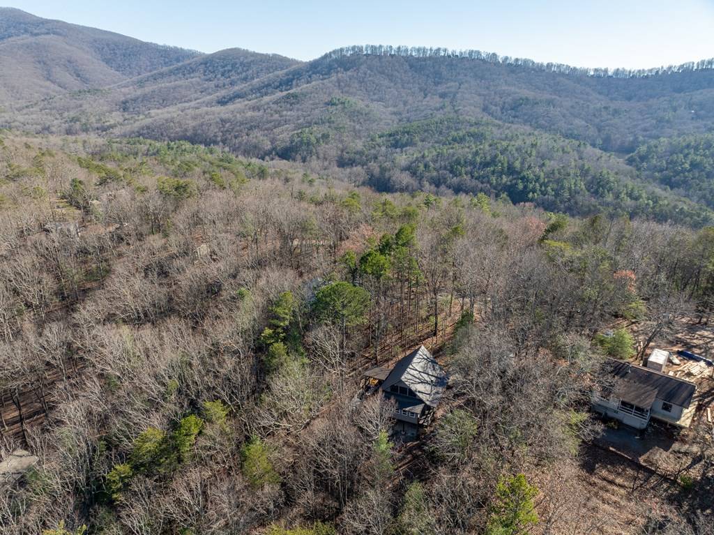 Ellijay, GA 30536,60 Laurel Ridge Court