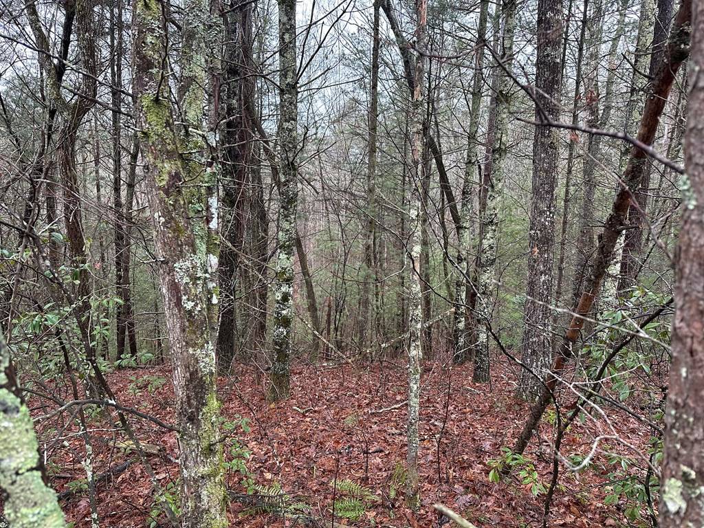 Ellijay, GA 30540,0 Graham Court