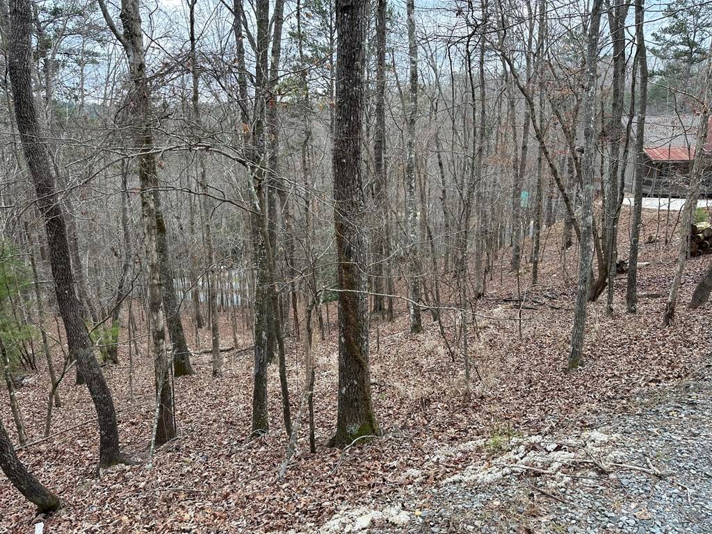 Ellijay, GA 30540,0 Dawn Court