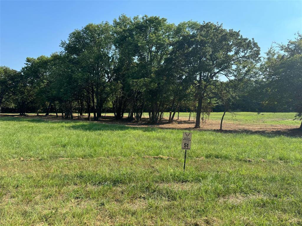 Pottsboro, TX 75076,Lot 49 Spout Springs Road