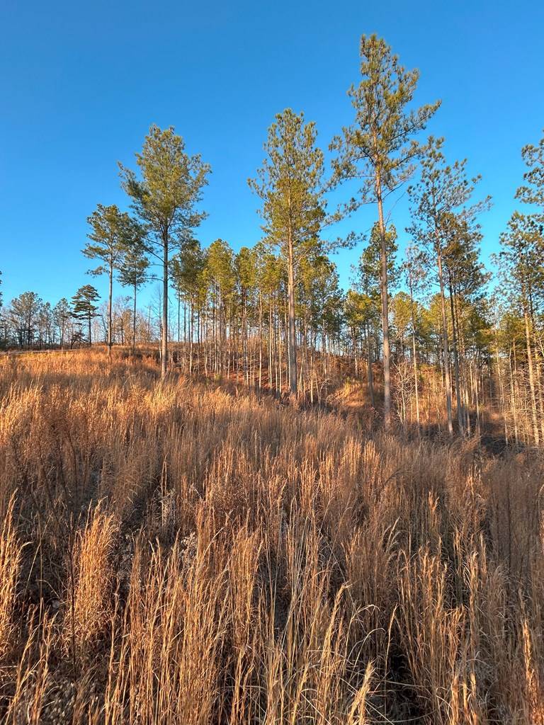 Talking Rock, GA 30175,LT 80 Seven Mile Creek Road