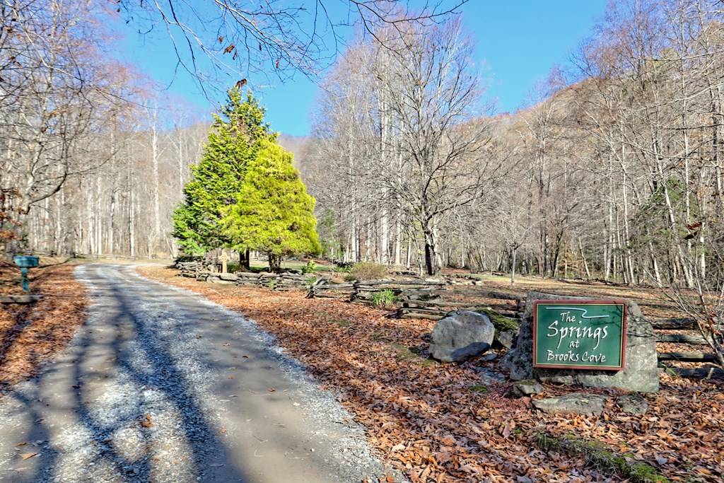 Hayesville, NC 28906,Lot 11 Noel Ridge