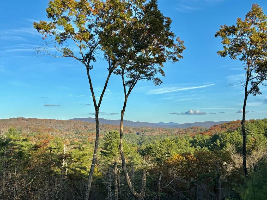 Blue Ridge, GA 30513,Lot 30 Bill Claypool Drive