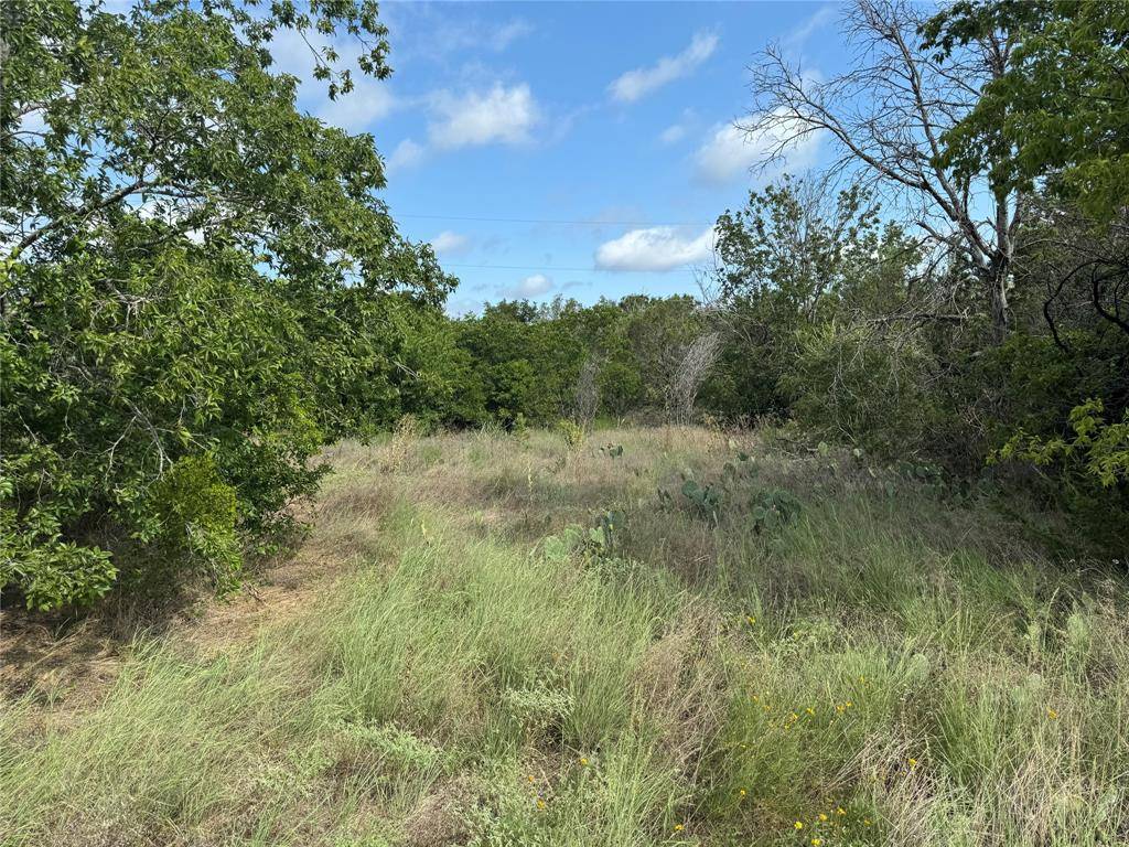 Granbury, TX 76048,3610 Woodlake Drive