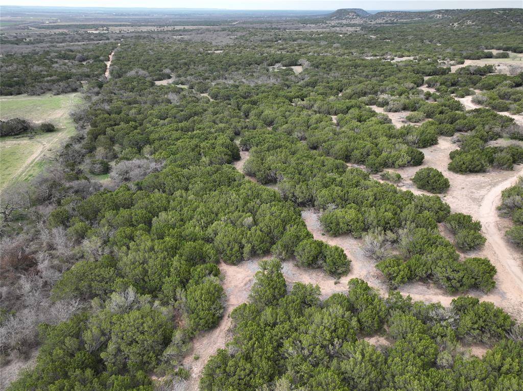 Tuscola, TX 79562,TBD Lemons Gap Road