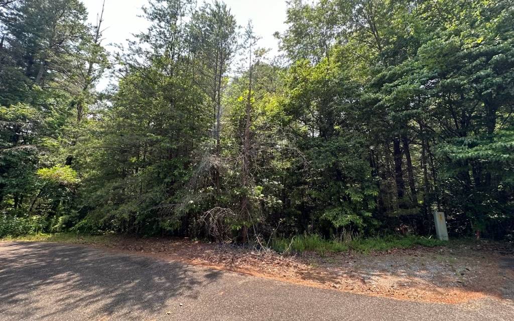 Ellijay, GA 30536,8,13 Ovaline Trail