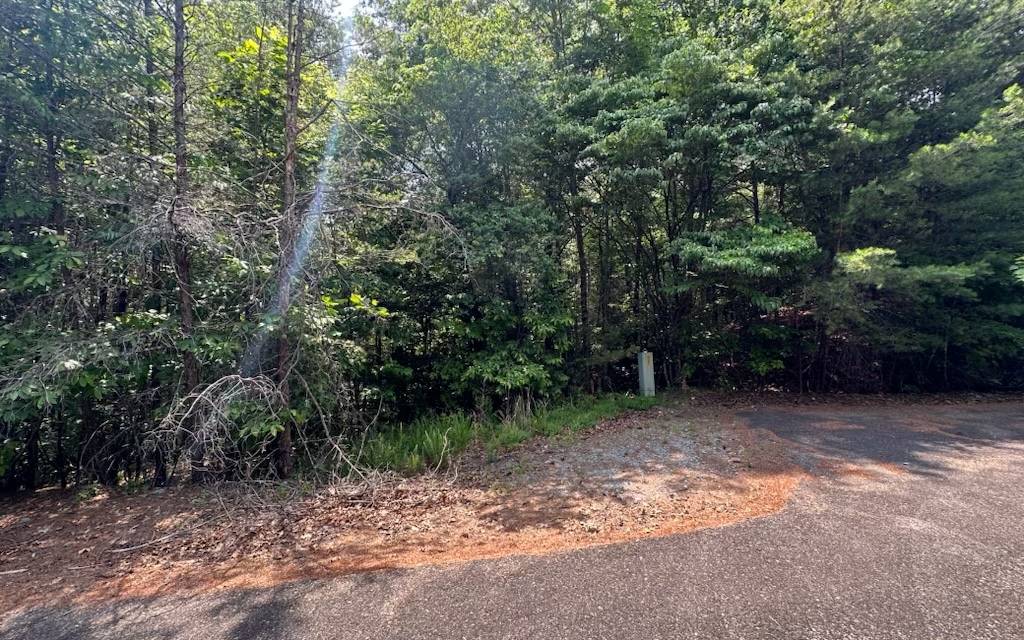 Ellijay, GA 30536,8,13 Ovaline Trail