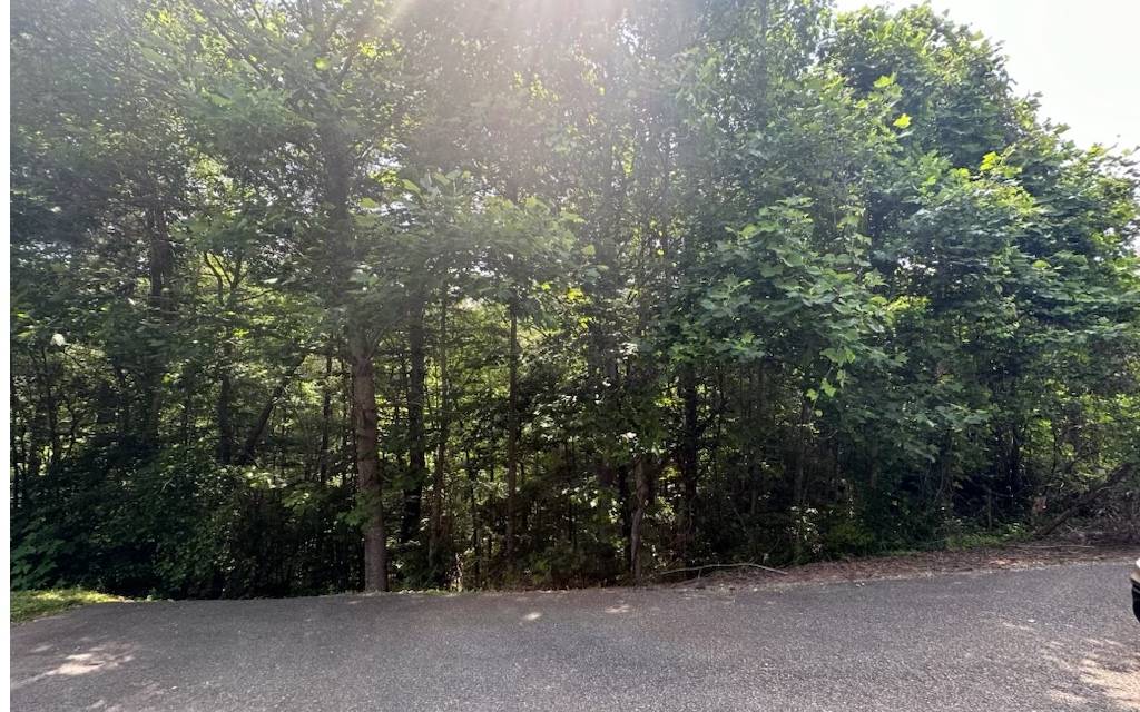 Ellijay, GA 30536,lot 6 Ovaline Trail