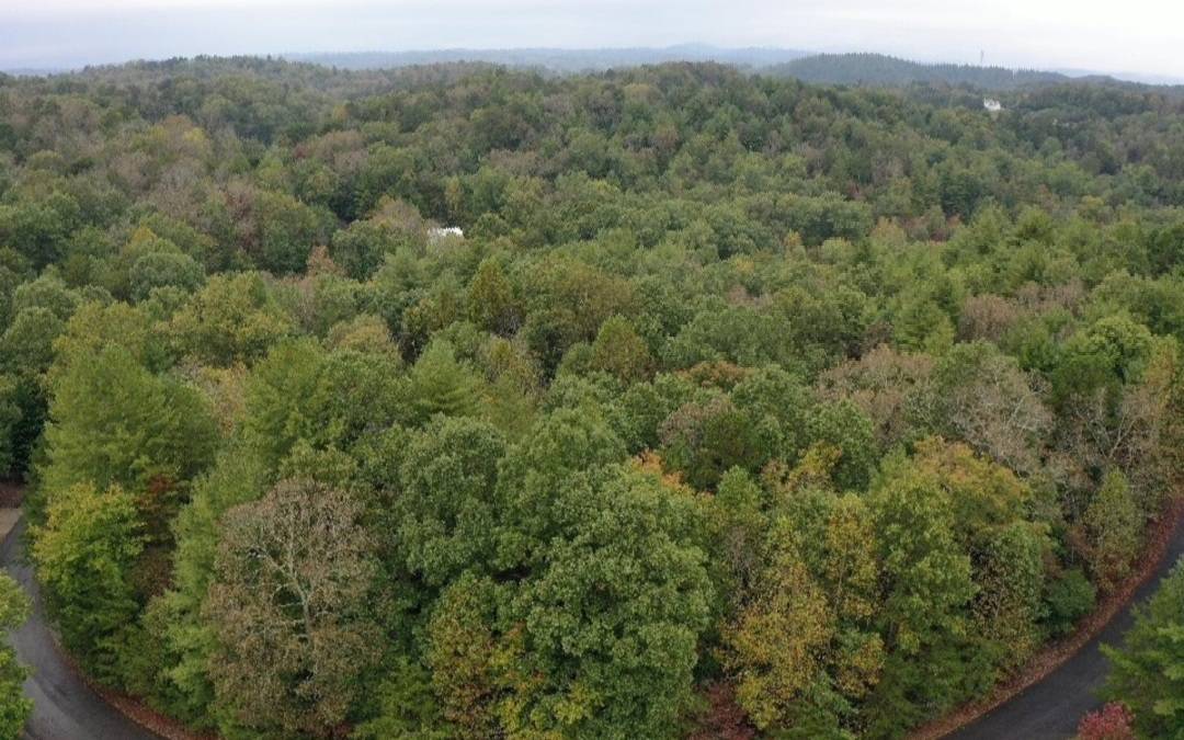 Ellijay, GA 30536,lot 6 Ovaline Trail