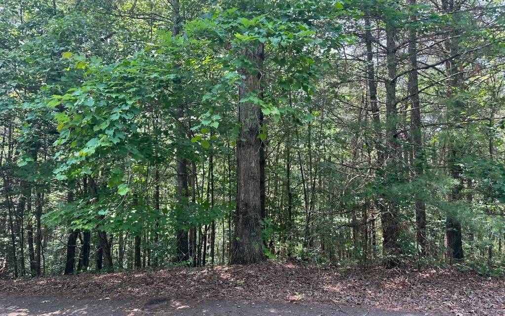 Ellijay, GA 30540,Lot 28 Aspen Avenue