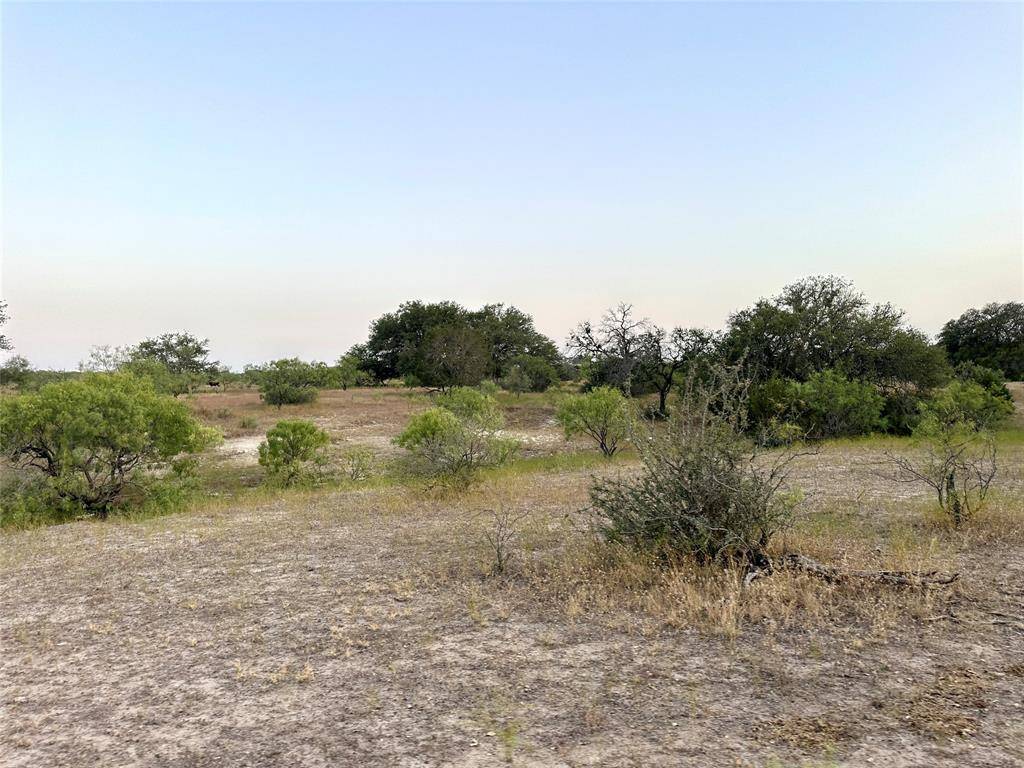 Goldthwaite, TX 76844,Lot14 N County Road 510