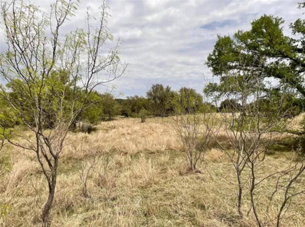 Mineral Wells, TX 76067,Lot 19 Brazos Mountain Ranch