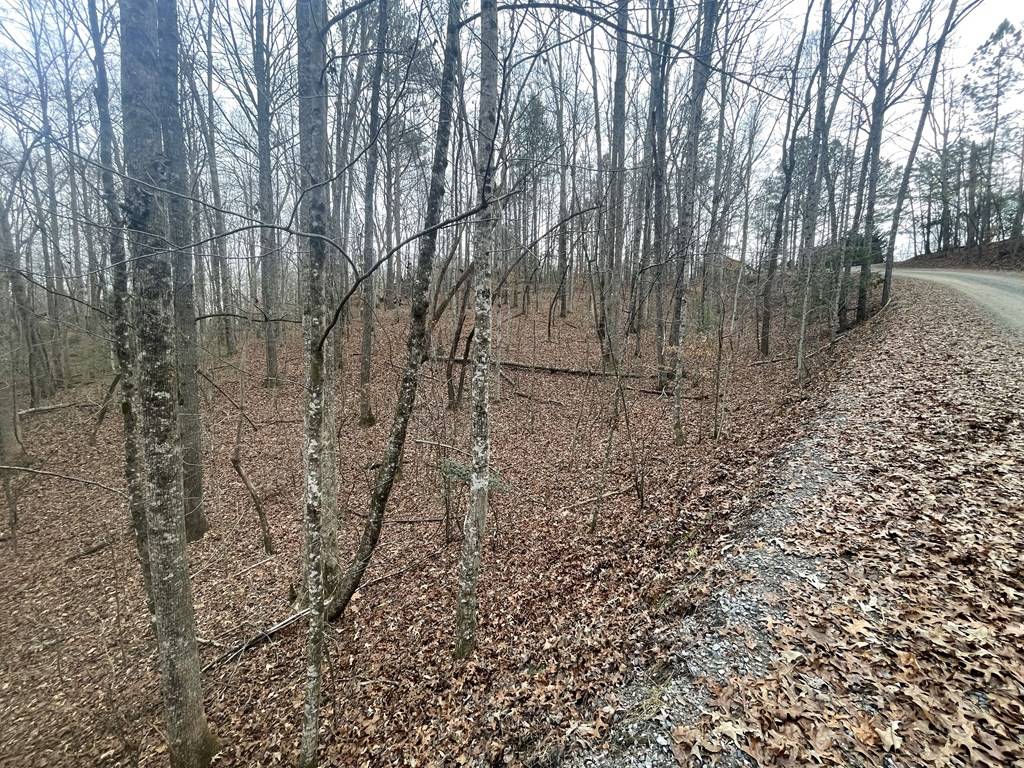 Ellijay, GA 30540,1456 Lot 1456 Pasha Dr