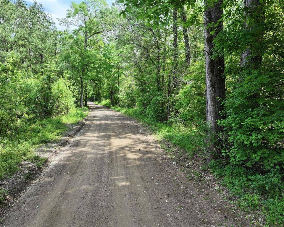 Colmesneil, TX 75938,000 County Road 3709