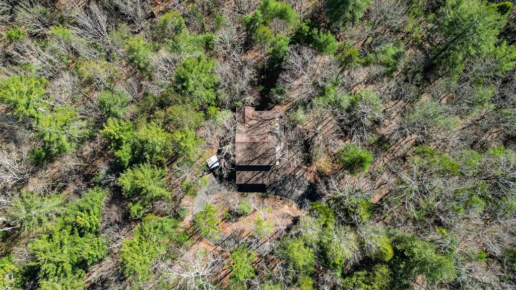 Ellijay, GA 30536,141 Indian Cave Road