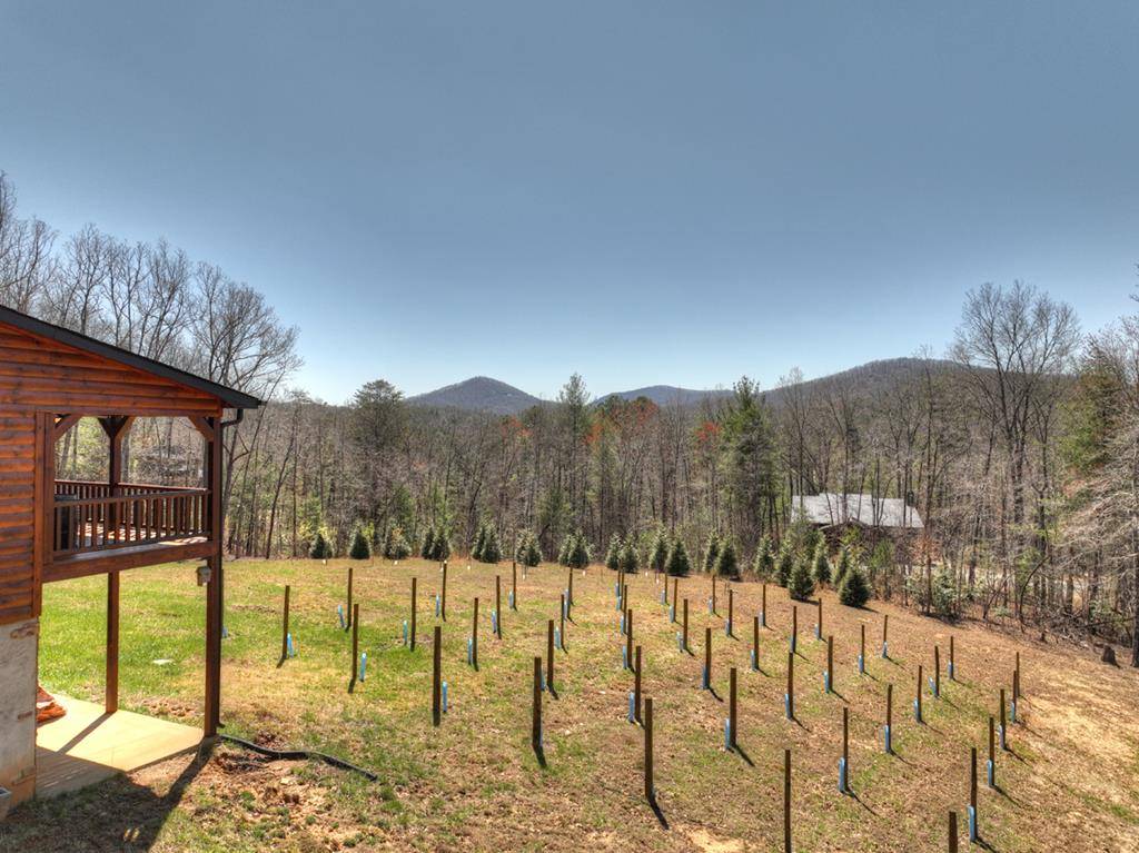 Blue Ridge, GA 30513,181 Sugar Mountain Road