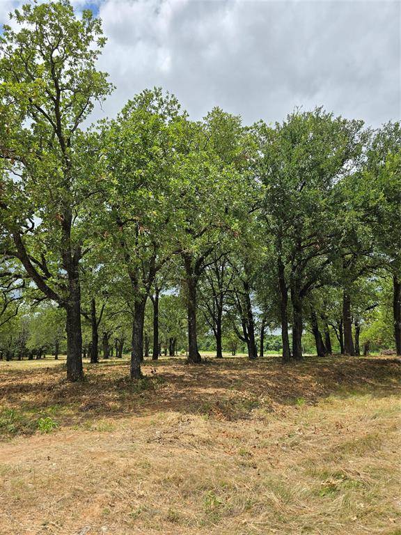 Bridgeport, TX 76073,1975 Sunflower Road #Lot 1