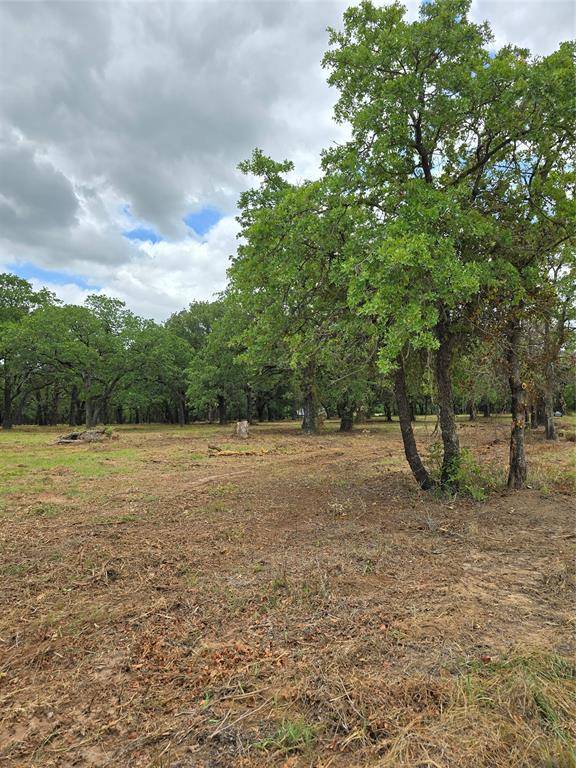 Bridgeport, TX 76073,1895 Sunflower Road #Lot 2