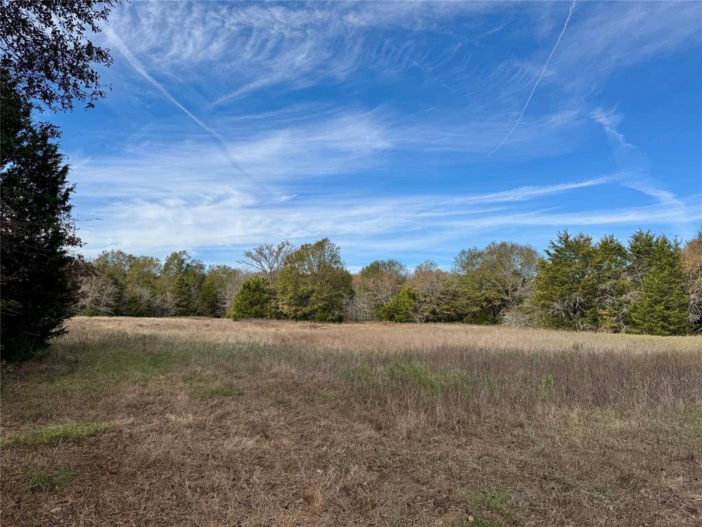 Streetman, TX 75859,2655 SE COUNTY ROAD 2320 #TRACT 3