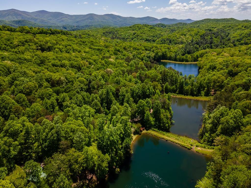 Cherry Log, GA 30522,137 Tipton Gap Road