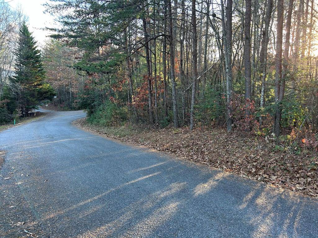 Blairsville, GA 30512,Lot 5 Tombstone Drive