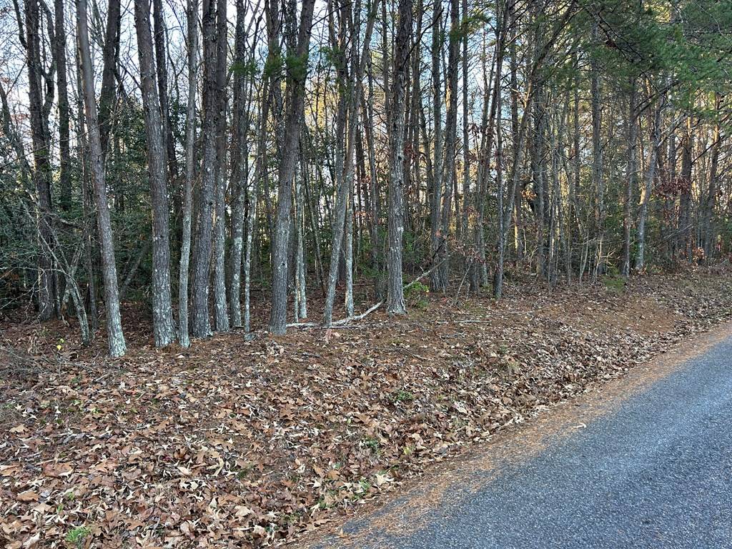 Blairsville, GA 30512,Lot 7 Tombstone Drive