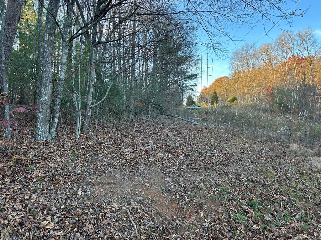 Blairsville, GA 30512,Lot 11 Tombstone Drive