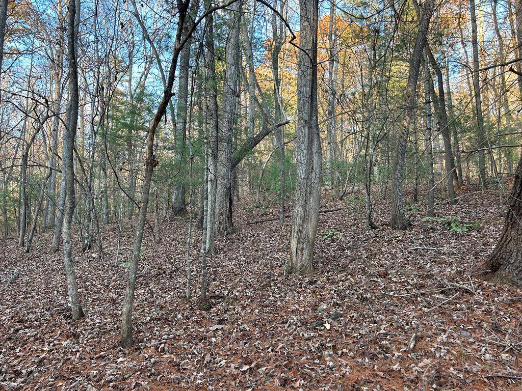 Blairsville, GA 30512,Lot 15 Tombstone Drive