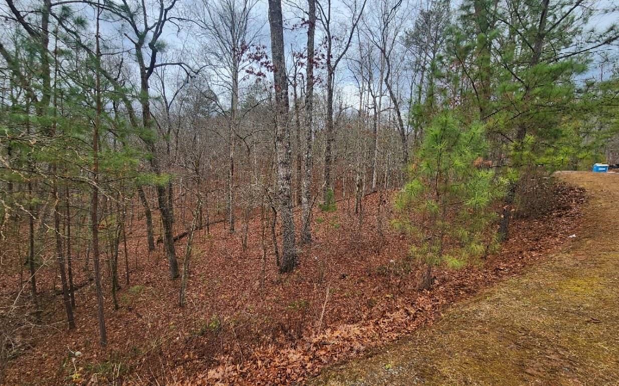 Ellijay, GA 30540,LOT 9 Harris Creek Drive