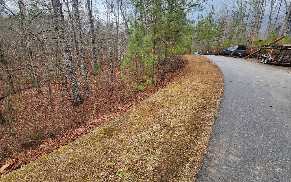 Ellijay, GA 30540,LOT 9 Harris Creek Drive