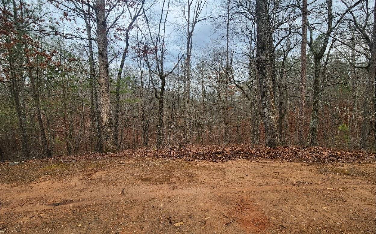 Ellijay, GA 30540,LOT 9 Harris Creek Drive