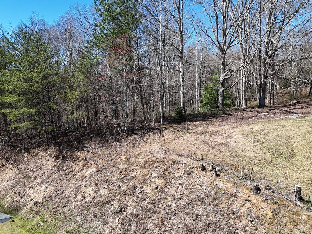 Blue Ridge, GA 30513,Lot 91 Peyton Drive