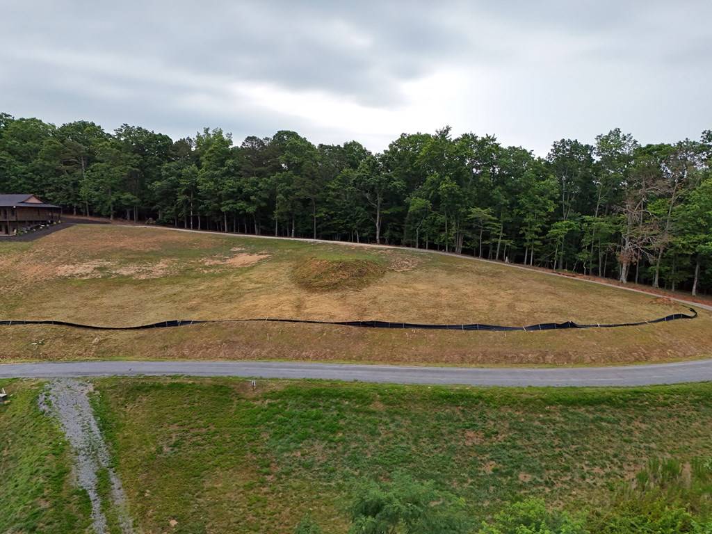 Morganton, GA 30560,Lot 52 Upper Ridge Trail