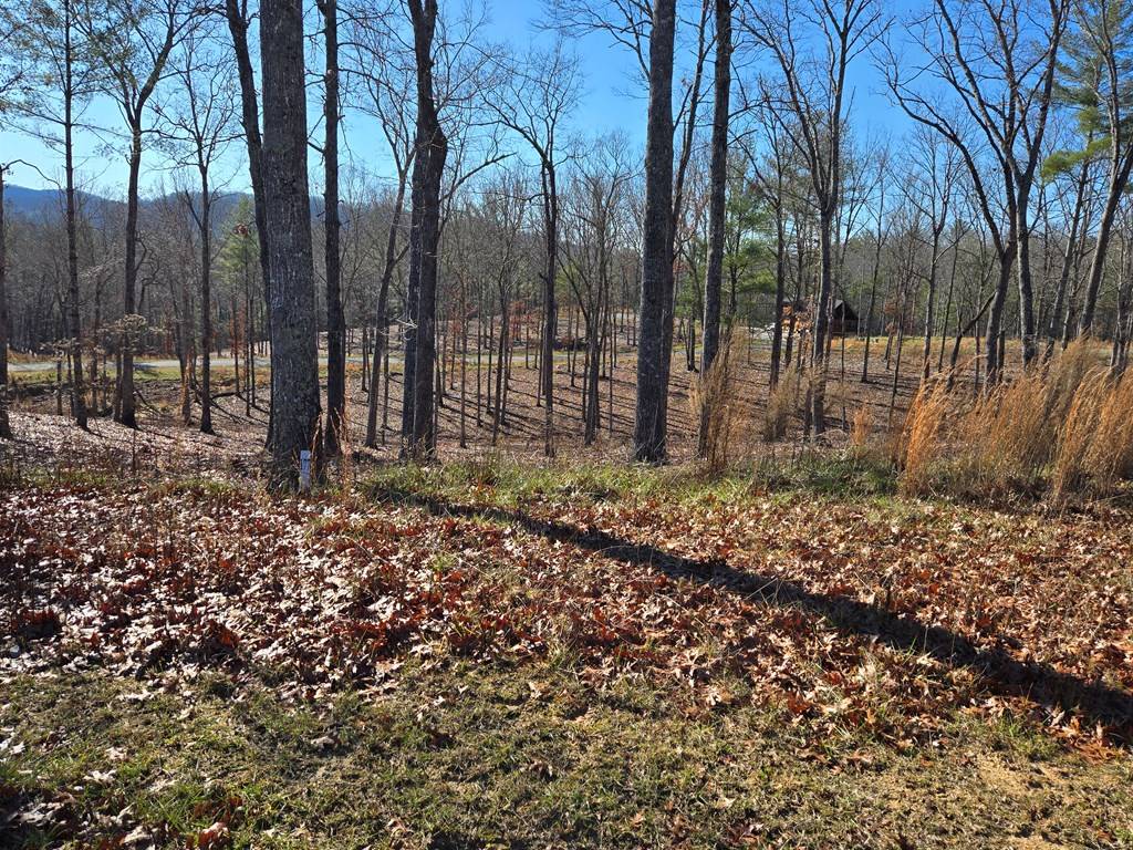 Morganton, GA 30560,Lot 177 Southern Cross Court