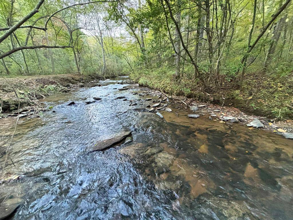 Ellijay, GA 30540,Lot 9 Mt. Springer Road