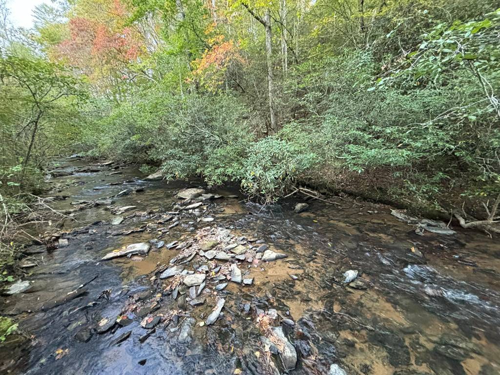 Ellijay, GA 30540,Lot 9 Mt. Springer Road