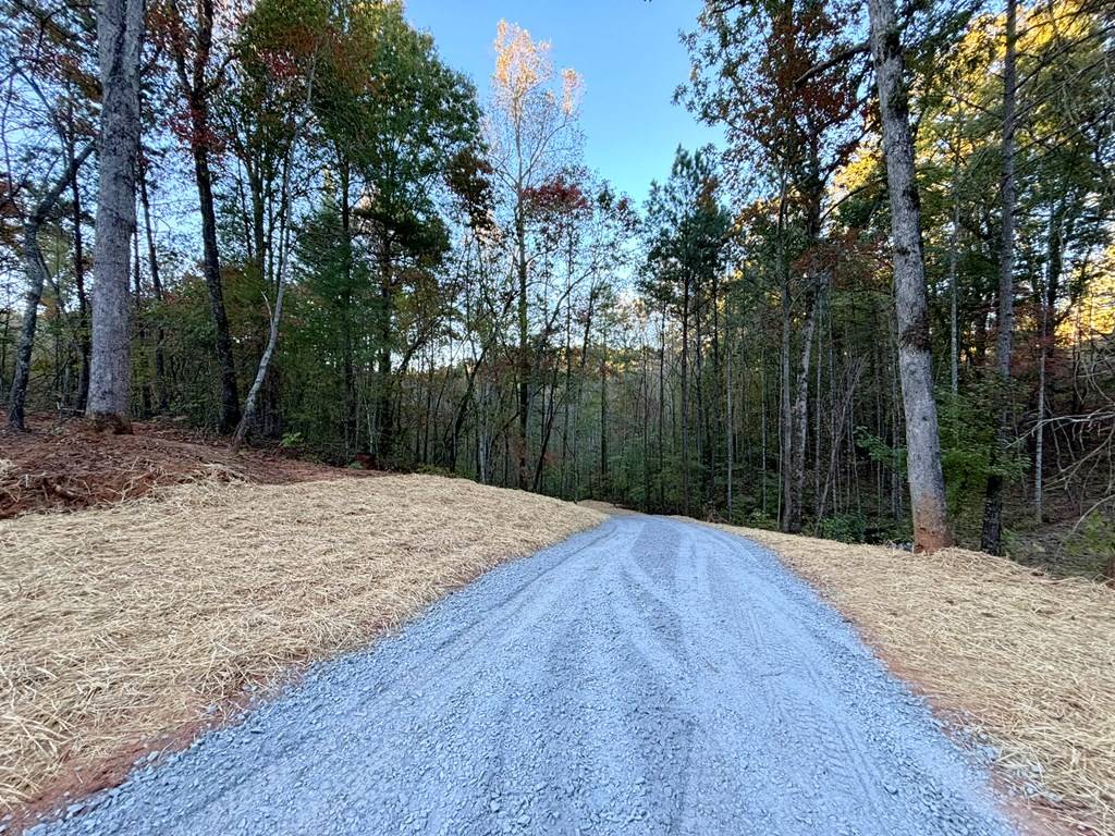 Ellijay, GA 30540,Lot 9 Mt. Springer Road