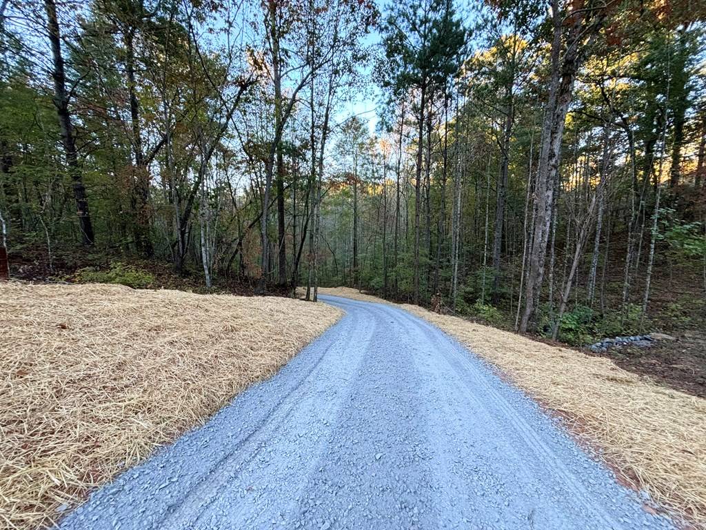 Ellijay, GA 30540,Lot 9 Mt. Springer Road