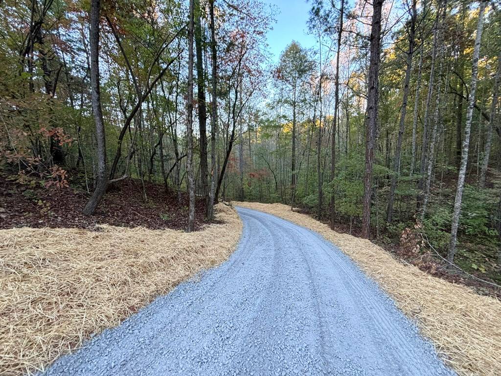 Ellijay, GA 30540,Lot 9 Mt. Springer Road