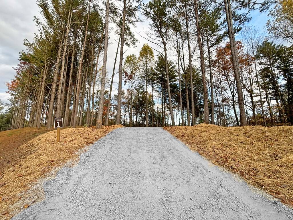 Ellijay, GA 30540,Lot 1 Mt. Springer Road