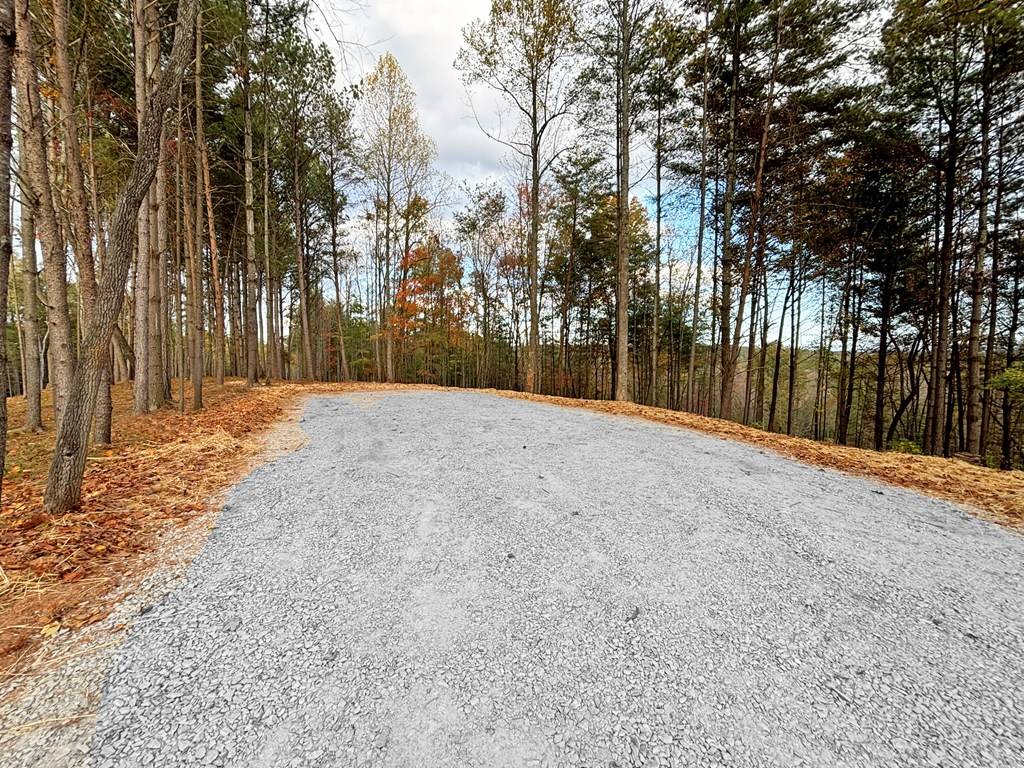 Ellijay, GA 30540,Lot 1 Mt. Springer Road