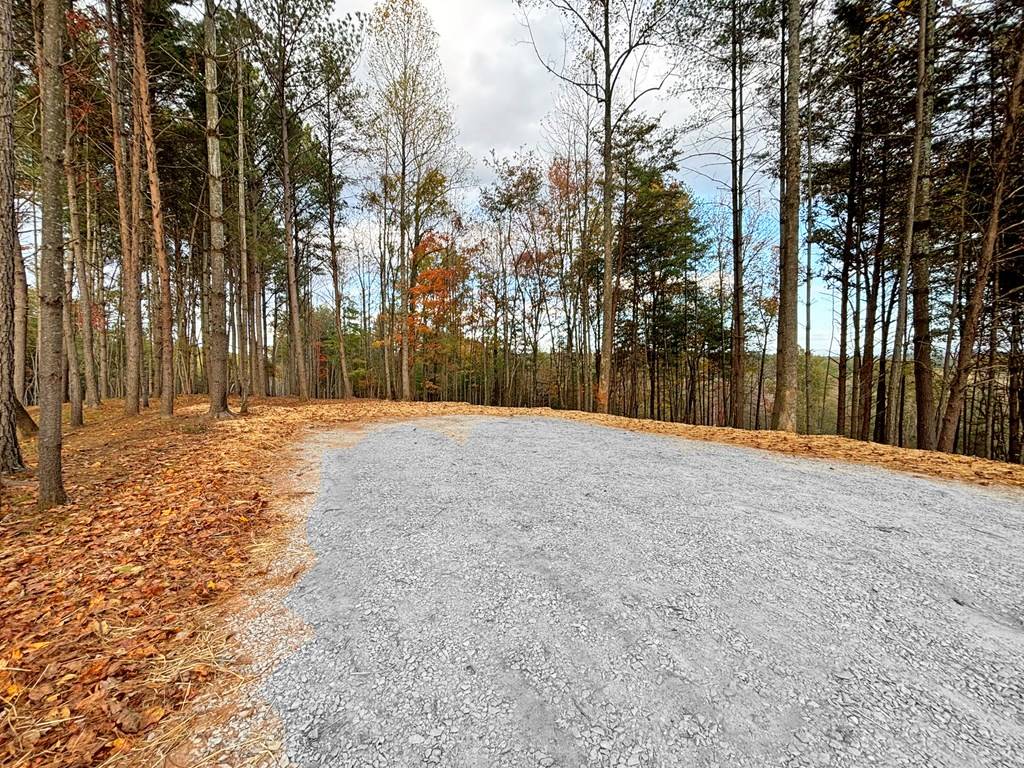 Ellijay, GA 30540,Lot 1 Mt. Springer Road