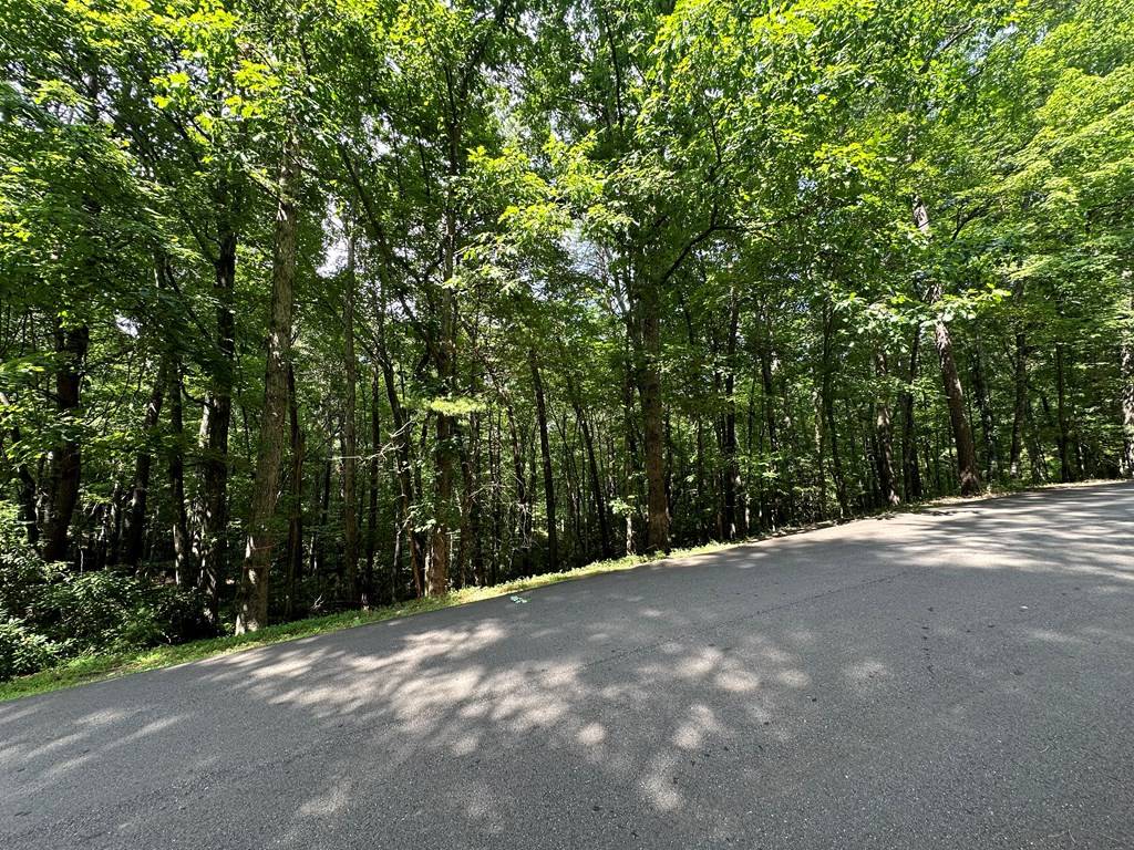 Ellijay, GA 30540,Lot 305 Seneca Dr