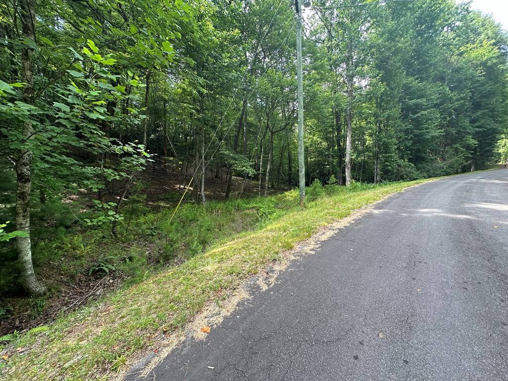 Ellijay, GA 30540,Lot 556 Satsuma Court N