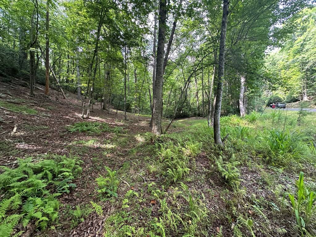 Ellijay, GA 30540,Lot 556 Satsuma Court N