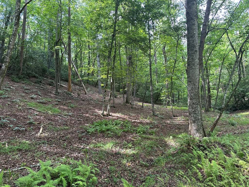 Ellijay, GA 30540,Lot 556 Satsuma Court N