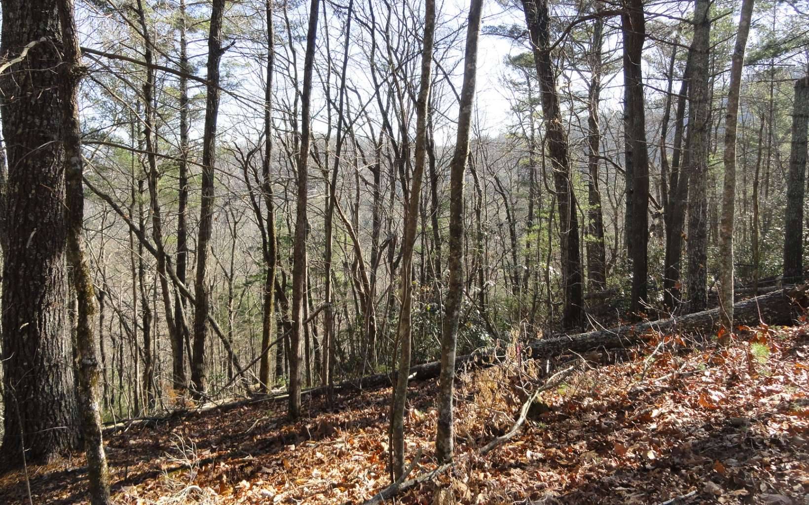 Blairsville, GA 30512,LOT B Cindy Cove