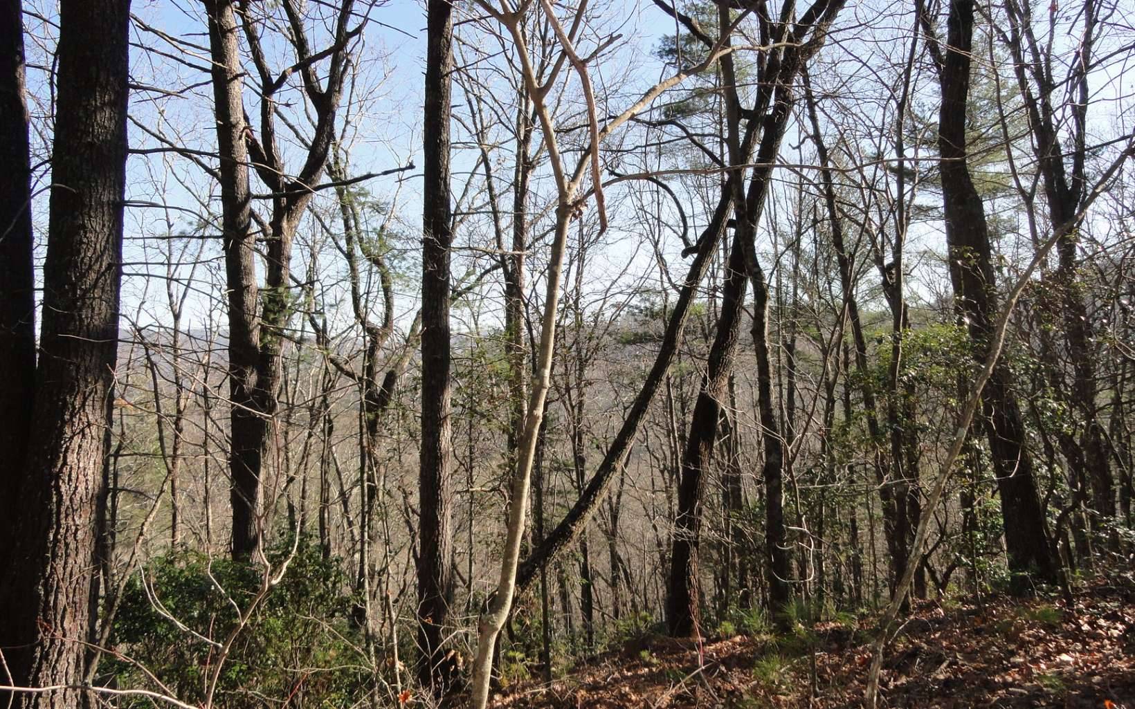 Blairsville, GA 30512,LOT B Cindy Cove